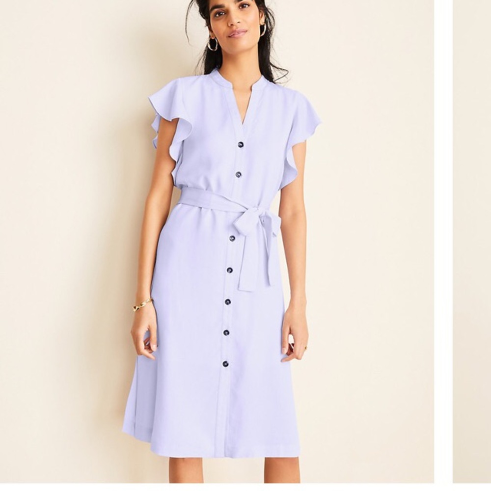 New with tags Ann Taylor dress